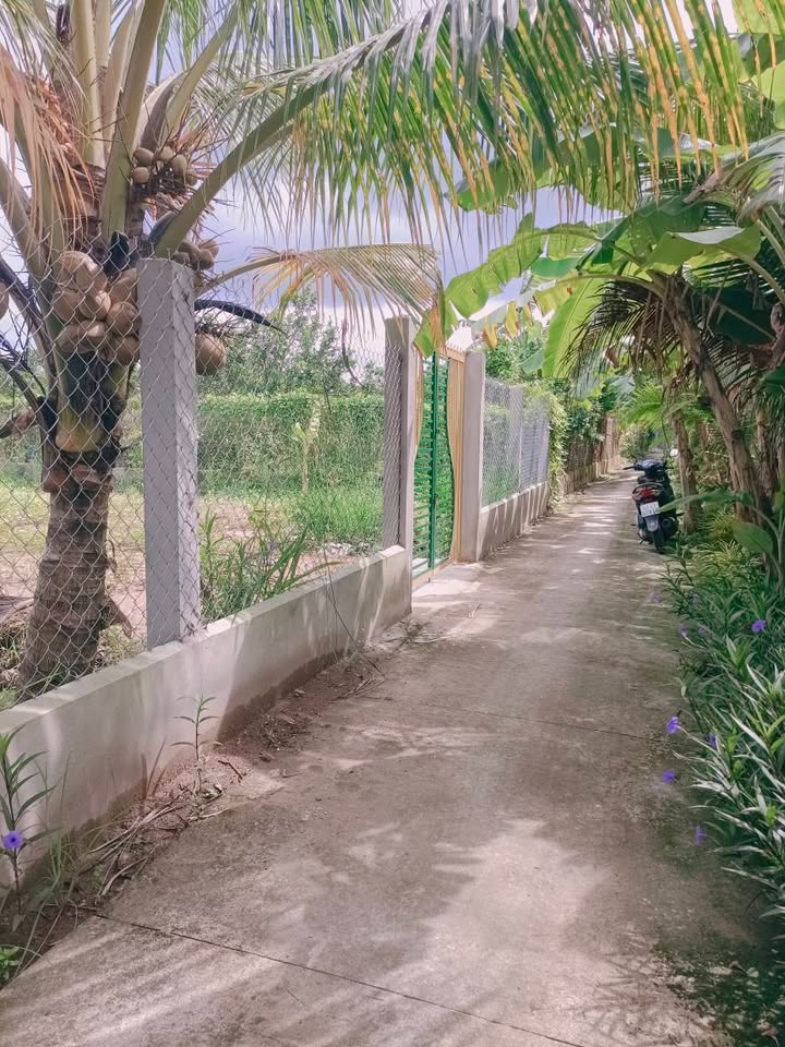 Đất nền Đạo Thạnh, Mỹ Tho 425m² - Giá thỏa thuận, vị trí thuận lợi!