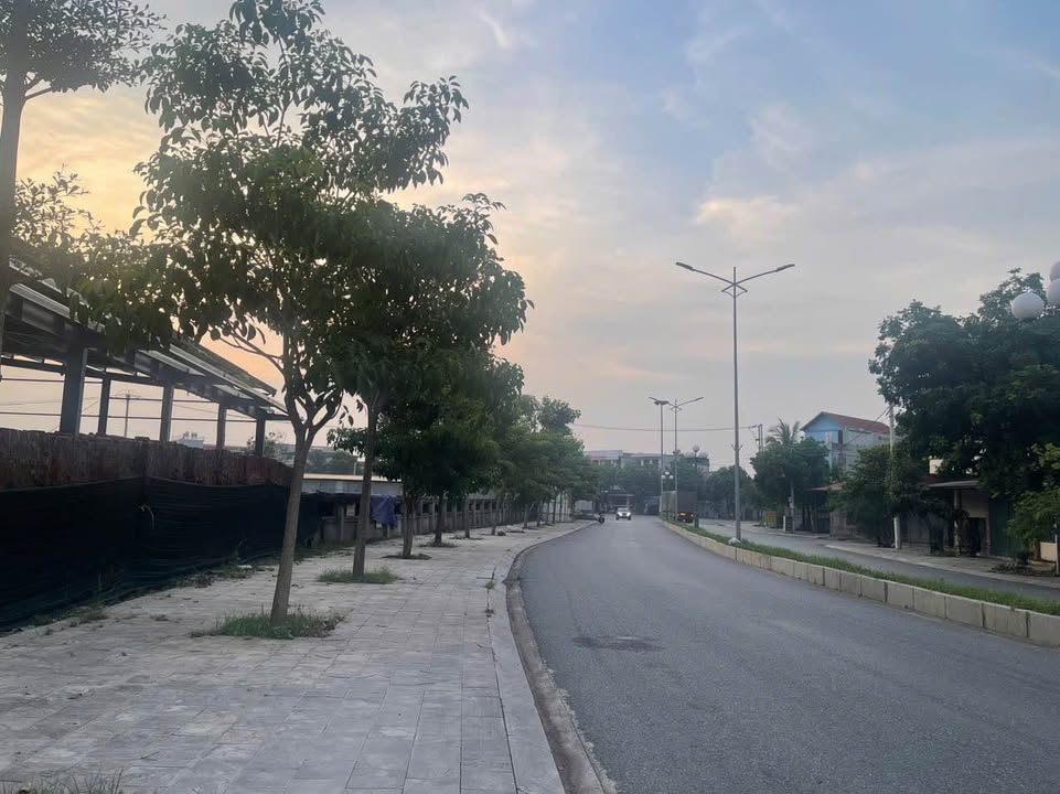 Đất thương mại dịch vụ mặt đường 477 xã Gia Viễn Ninh Bình 10.268m² - Tiềm năng kinh doanh vượt trội!