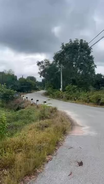 Đất nền đẹp mặt tiền nhựa 8000m² giá 8 tỷ - Tiềm năng đầu tư lớn!