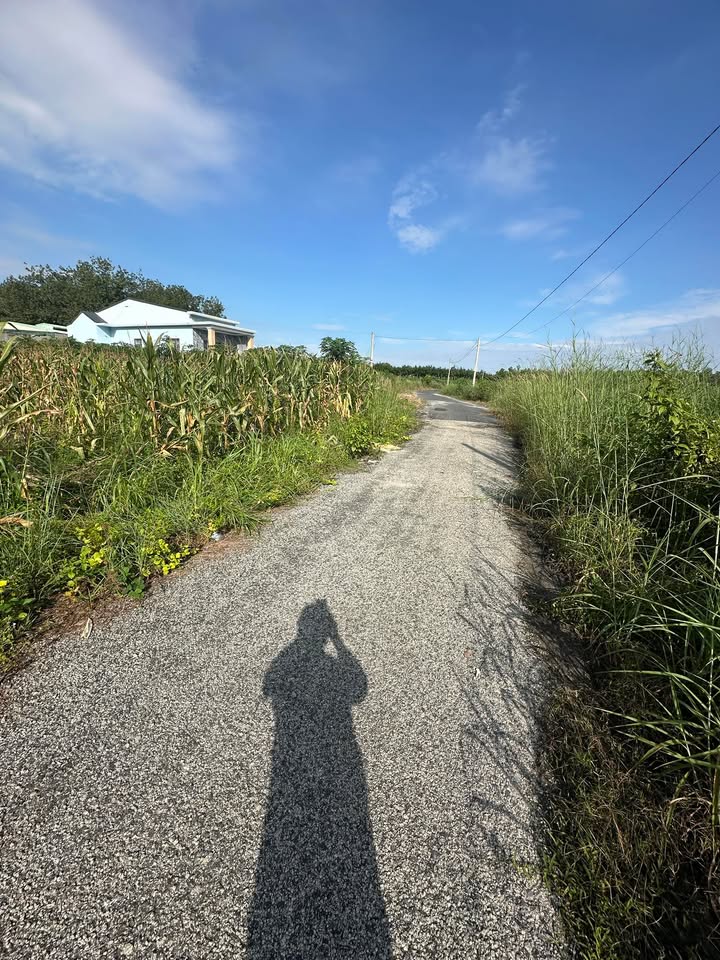 Đất nền đường số 4, phường Minh Thành, 100m² chỉ 600 triệu - Đầu tư sinh lời ngay!