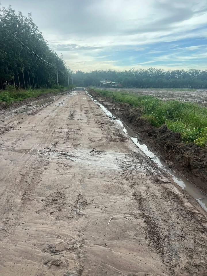 Đất nền Minh Thành, Chơn Thành 16.000m² giá 4.5 tỷ - Cơ hội đầu tư tuyệt vời!