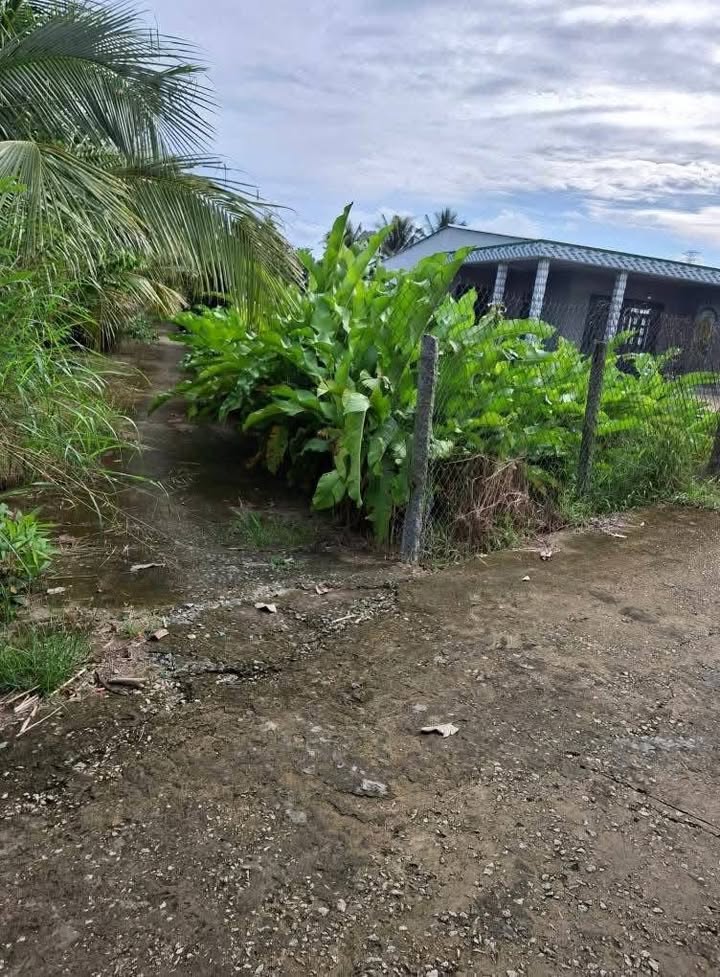 Đất nền Phường 1, Thị xã Cai Lậy 170m² giá 800 triệu - Đầu tư sinh lời ngay!