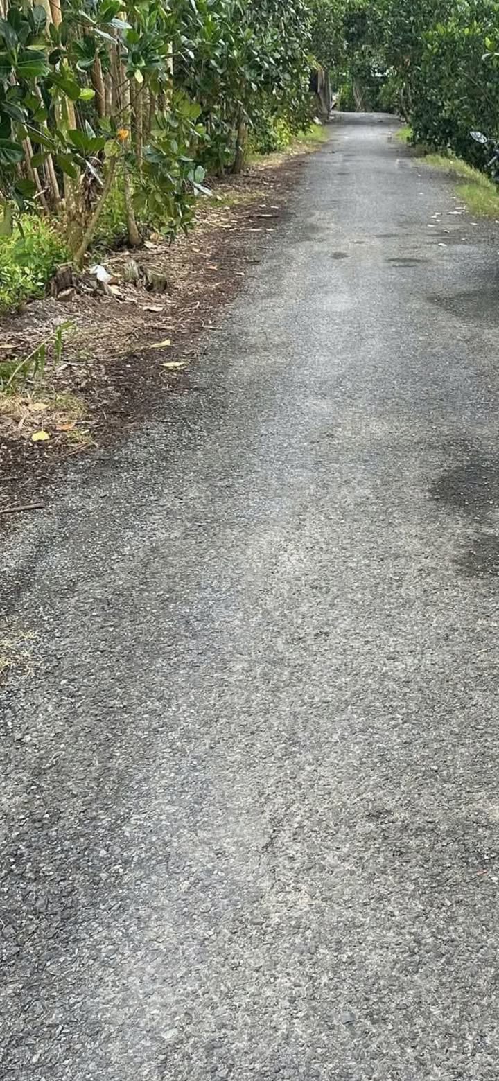 Đất nền Thiện Trung Cai Lậy 508m² giá 720 triệu - Sổ hồng riêng, không mồ mã!