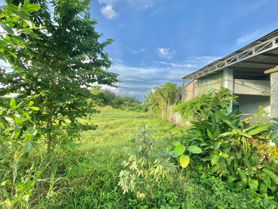 Đất mặt tiền đường Cây Trôm Mỹ Khánh, Củ Chi 280m² - Kinh doanh sinh lời ngay!