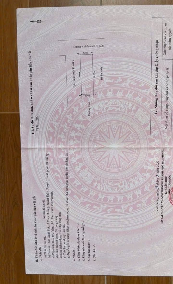 Đất nền lô góc tại Thủy Đường, Thủy Nguyên 80m² chỉ 4 tỷ - Đầu tư sinh lời ngay!