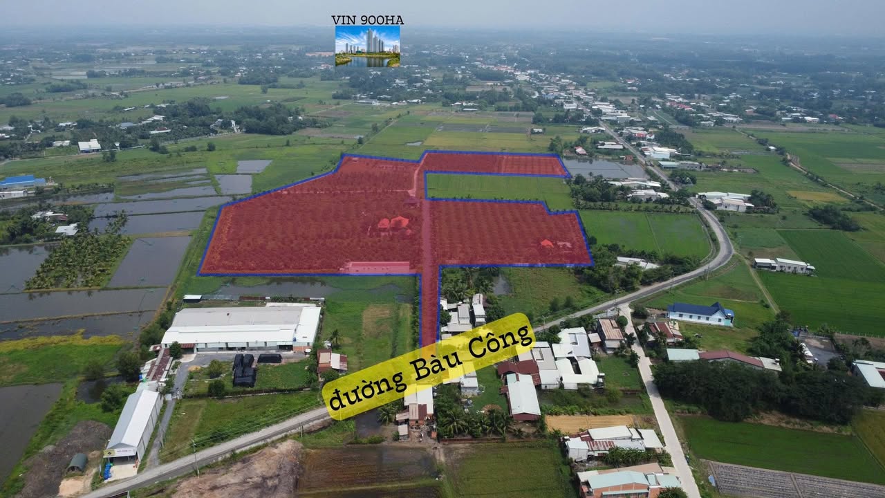 Đất nền Tân Mỹ, Đức Hòa 62490m² - Đầu tư sinh lời ngay!