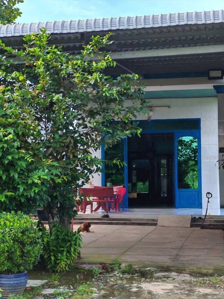 Đất vườn Bàu Công, Tân Mỹ, Đức Hòa 540m² giá 1.85 tỷ - Cơ hội đầu tư hấp dẫn!