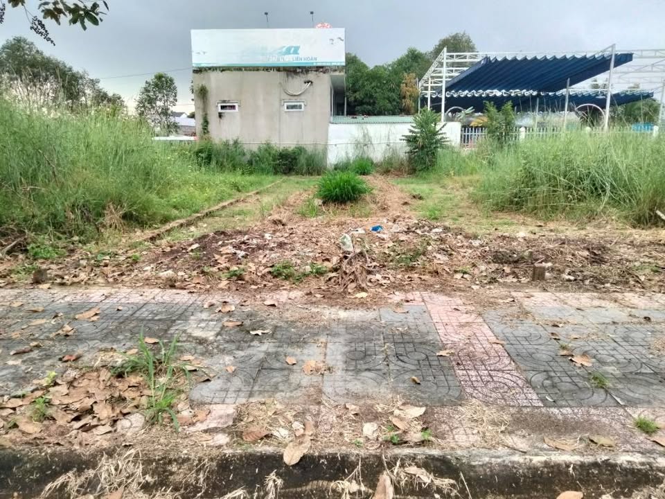 Đất nền Hắc Dịch, Phú Mỹ 100m² giá 2.45 tỷ - Cơ hội đầu tư duy nhất!