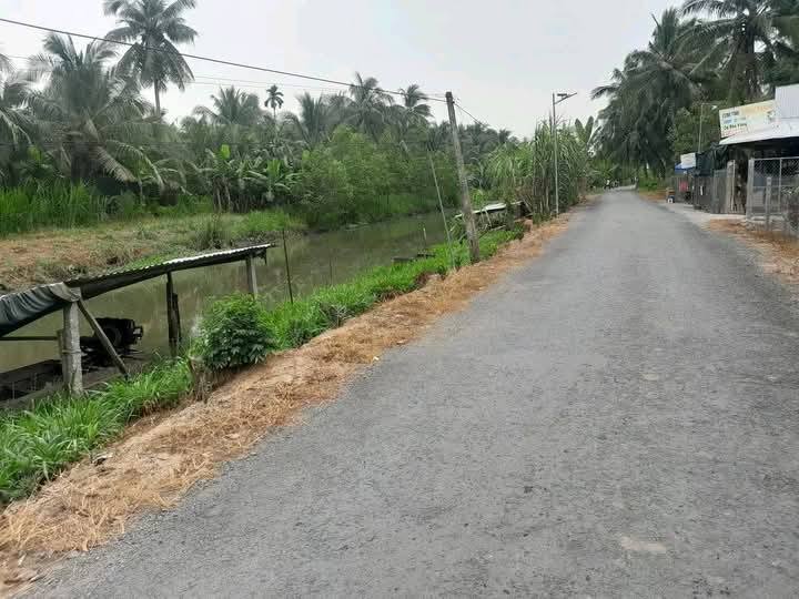 Đất nền Tân An Càng Long 1300m² giá 300 triệu - Sẵn sàng đầu tư!