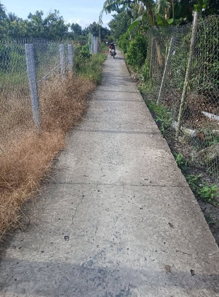 Đất nền Hòa Khánh Cái Bè 430m² giá 620 triệu - Cơ hội đầu tư hấp dẫn!