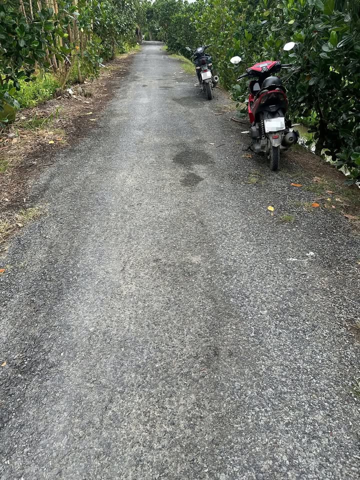 Đất thổ cư mặt tiền nhựa Thiện Trung, Cái Bè 508.8m² giá 720 triệu - Đầu tư sinh lời ngay!