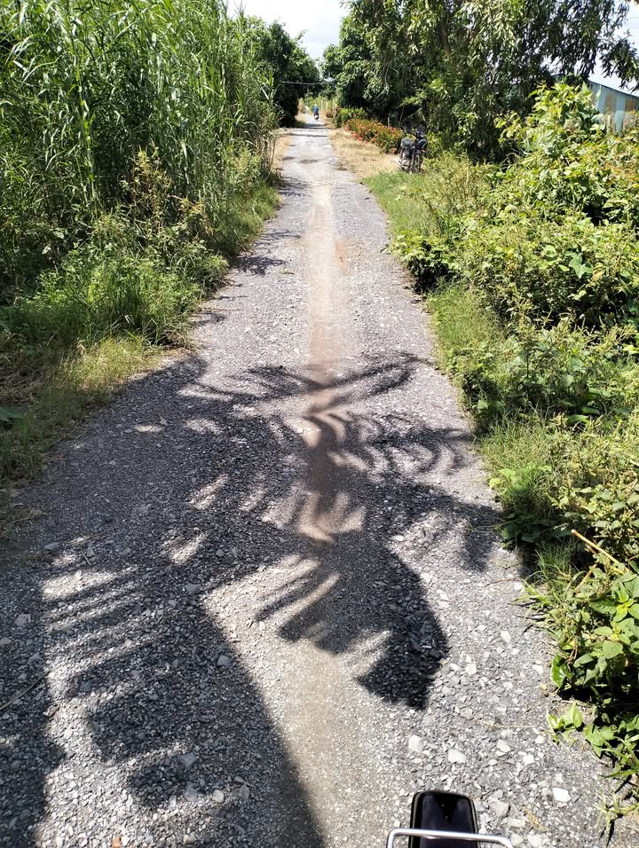 Đất mặt tiền 50m Đường Đá, 20.000m² giá 3.6 tỷ - Cơ hội đầu tư sinh lời!