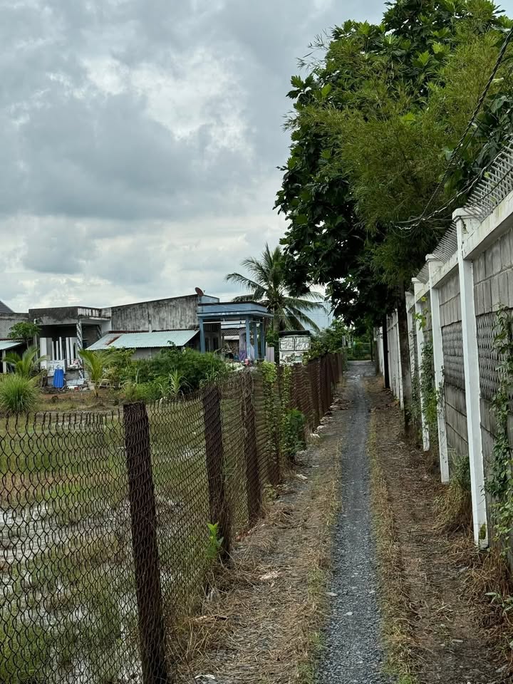 Đất nền 1.114m² tại Xã Phước Lợi, Bến Lức - Giá chỉ 2.8 tỷ!