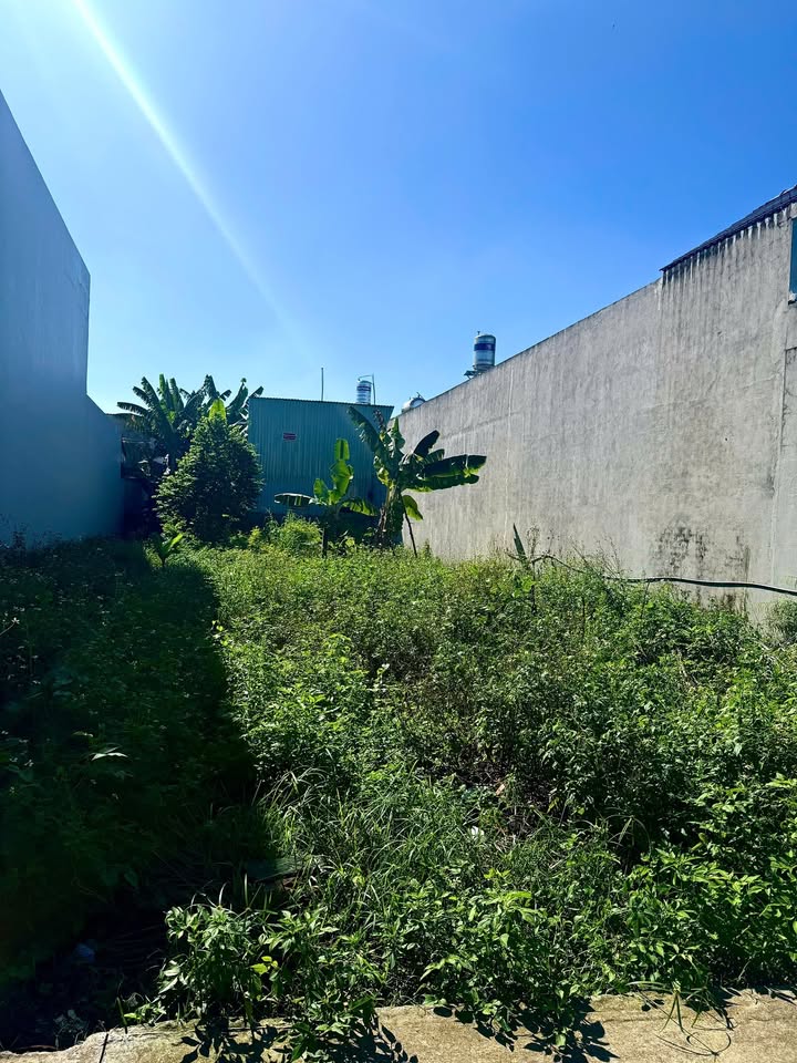 Đất thổ cư Tân Phú Trung, Củ Chi 126,6m² giá chỉ 1,6 tỷ - Sổ hồng chính chủ!