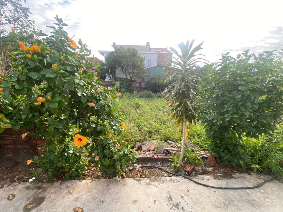 Đất nền Minh Phú, Sóc Sơn 90m² giá 1.7 tỷ - Vị trí tiềm năng, giá tốt hơn thị trường!