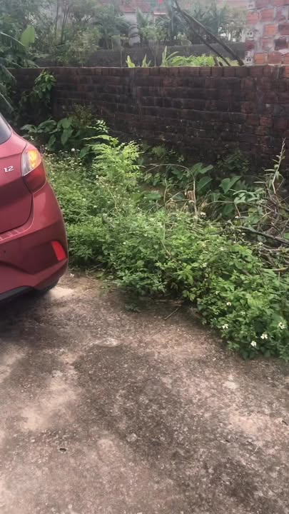 Đất nền chính chủ Quỳnh Vinh 230m² giá thỏa thuận - Cơ hội đầu tư hấp dẫn!