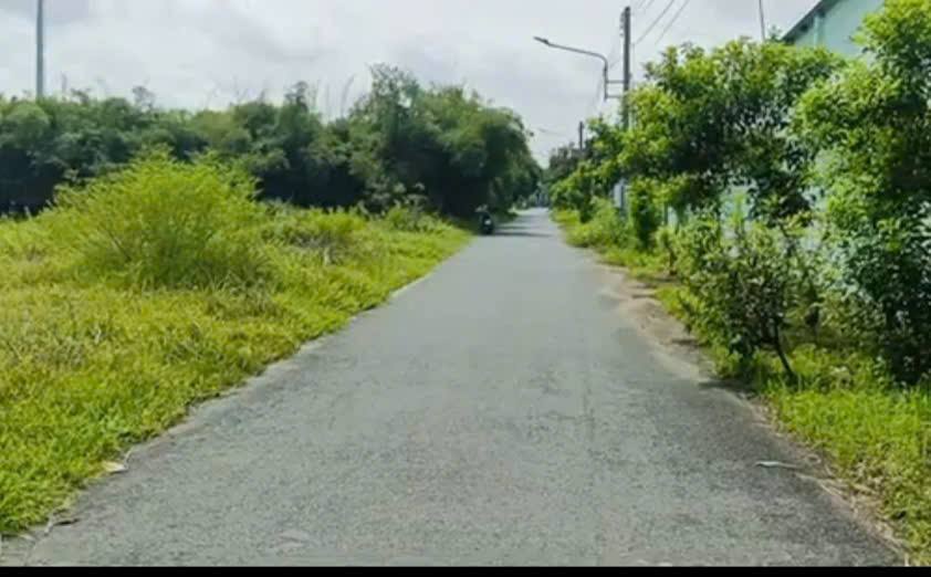 Đất nền Bến Cát 125m² giá 1.3 tỷ - Đầu tư sinh lời ngay!