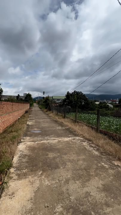 Đất mặt tiền đẹp Nam Ban Lâm Hà 2.970m² giá 7.3 tỷ - Tiềm năng vượt trội!