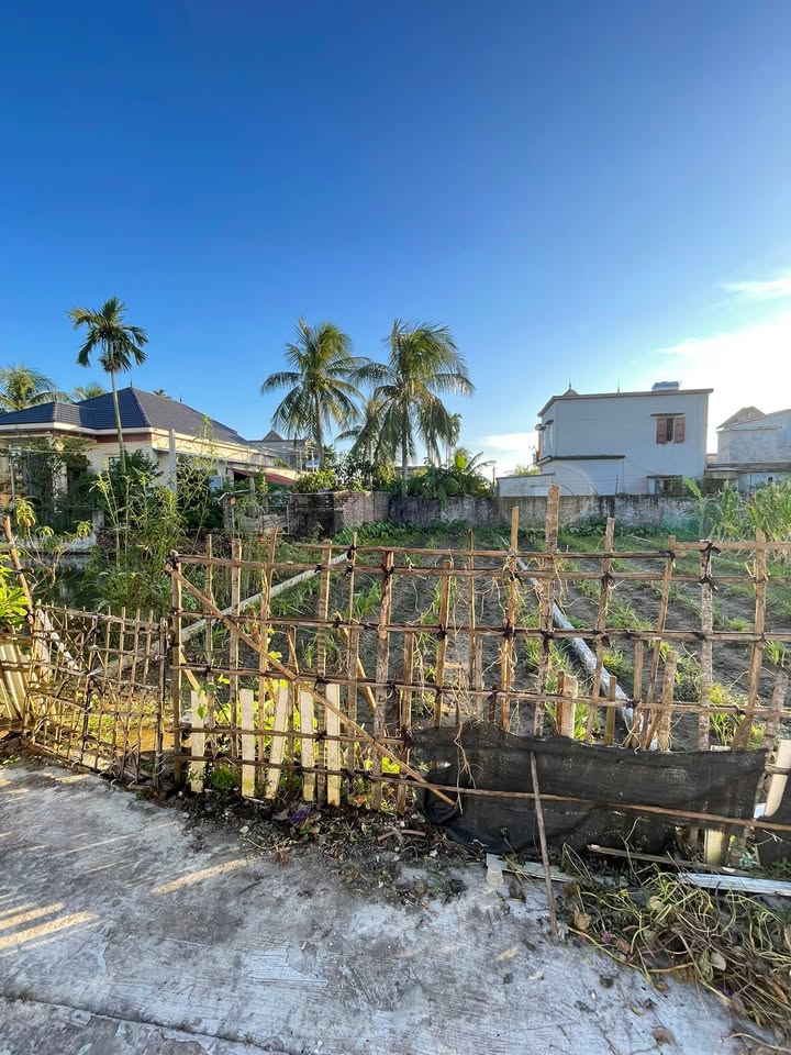 Đất nền đẹp tại Liên Am, Vĩnh Bảo 80m² - Mặt tiền gần 5m, tiện ích đầy đủ!