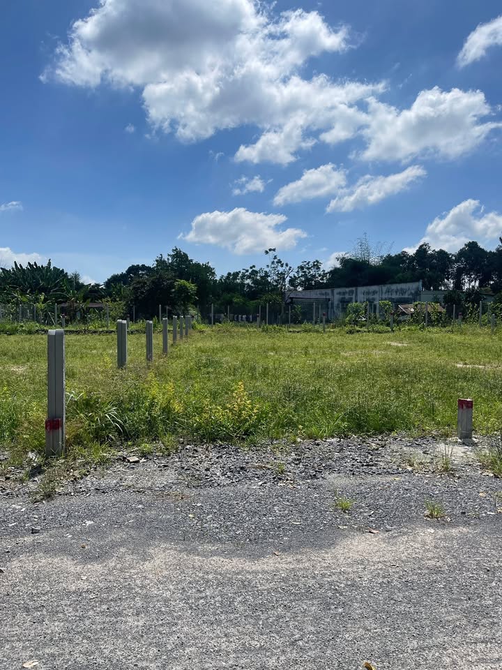 Đất thổ cư Phước Vĩnh An 100m² giá 1.65 tỷ - Ô tô vào tận nơi!