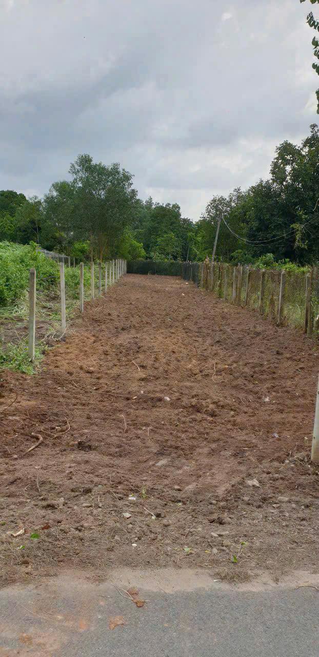 Đất nền Phú Hòa Đông, Củ Chi 331m² giá 2.2 tỷ - Lô góc 2 mặt tiền