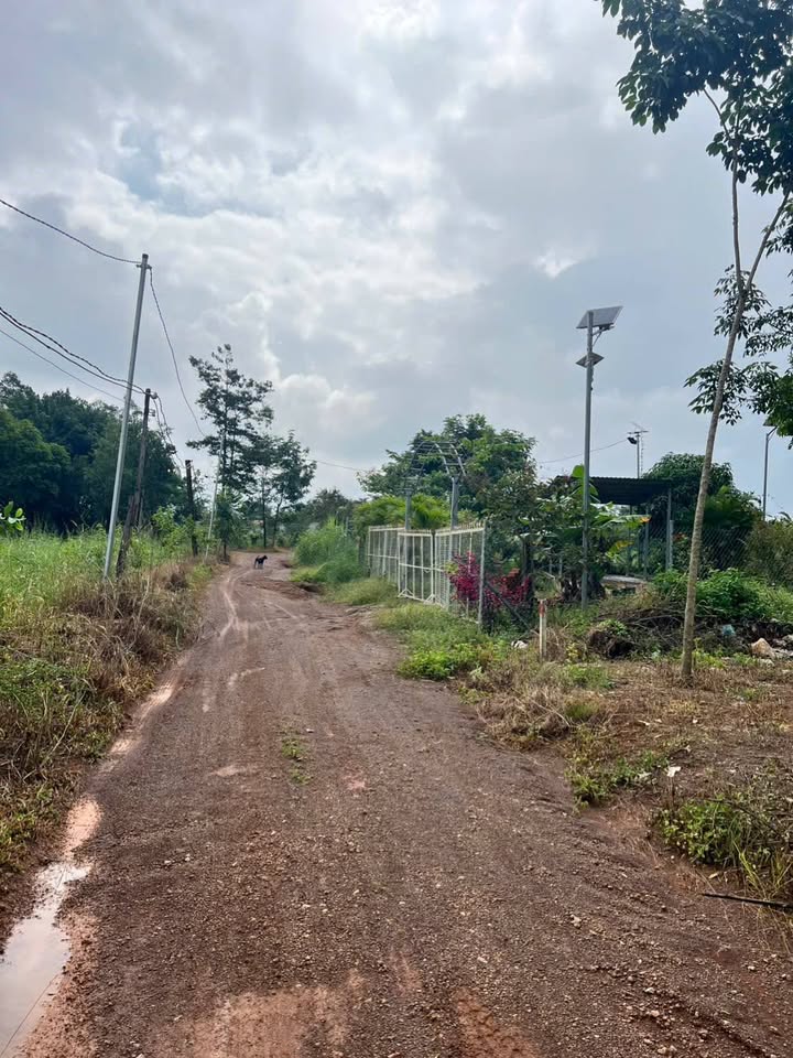 Đất nền Tân Xuân, Đồng Xoài 560m² giá 400 triệu - Gần khu dân cư đông đúc!