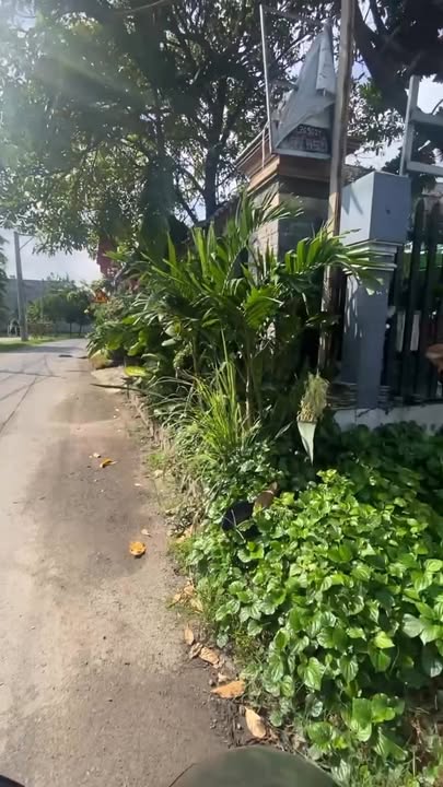 Đất mặt tiền ĐX051 Phú Mỹ 112m² giá 3.1 tỷ - Kinh doanh thuận lợi!