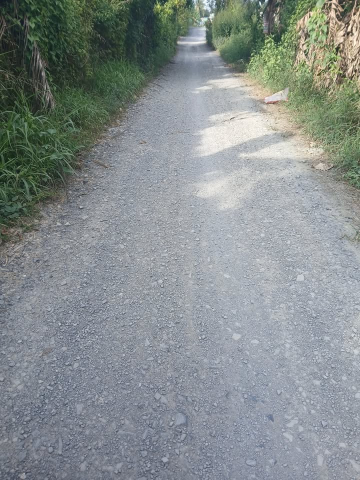 Đất nền Hòa Phúc Cái Bè 125m² giá 630 triệu - Sổ hồng riêng chính chủ