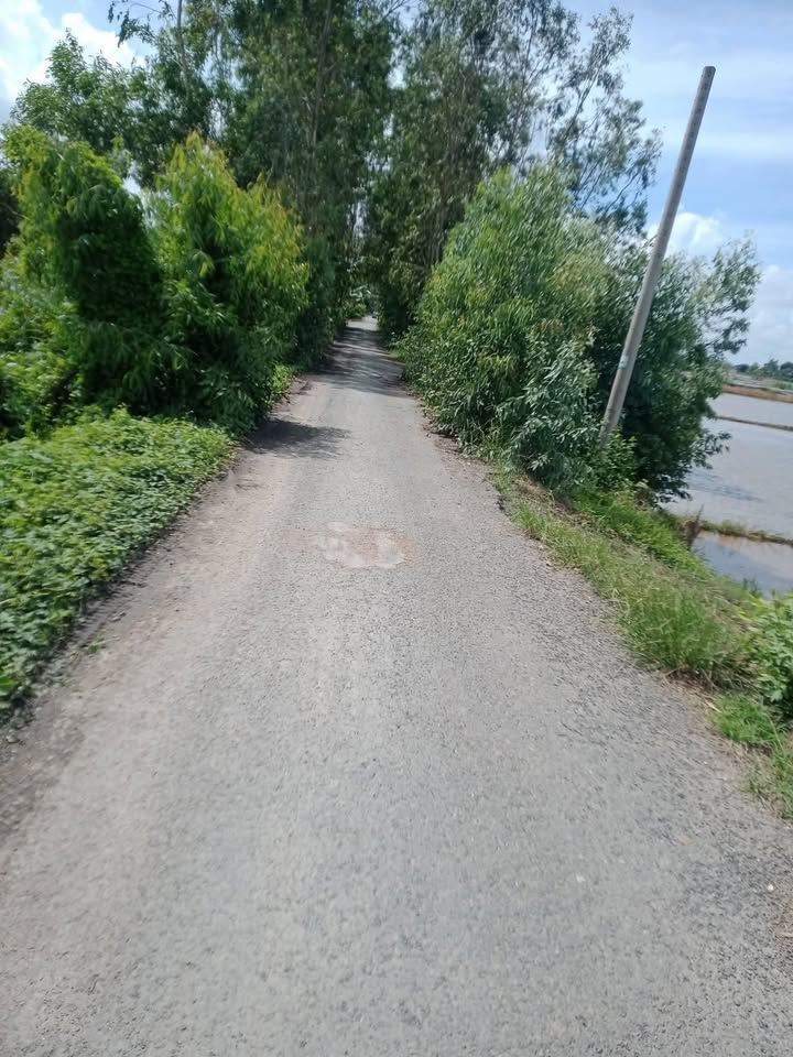 Đất ruộng Mỹ Đông 6 công mặt tiền 40m - Giá chỉ 1.56 tỷ VND!