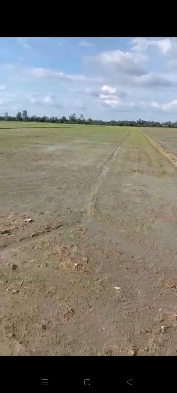 Đất ruộng Mỹ Đông Tháp Mười 6700m² - Mặt tiền 30m, giá chỉ 1.34 tỷ!