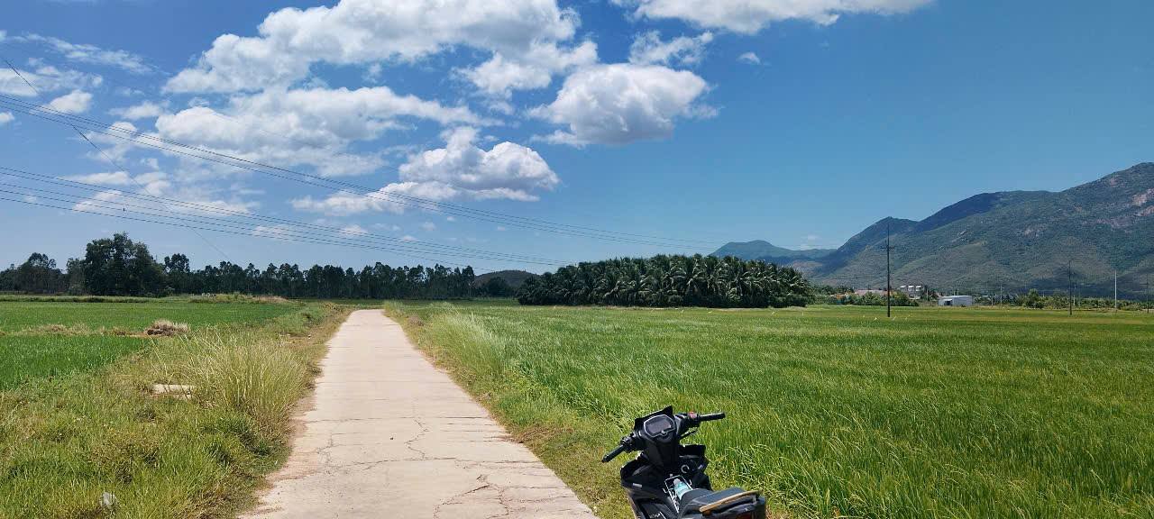 Lô đất 967m² tại xã Bắc Ninh Hòa, Khánh Hòa - Giá chỉ 450 triệu!