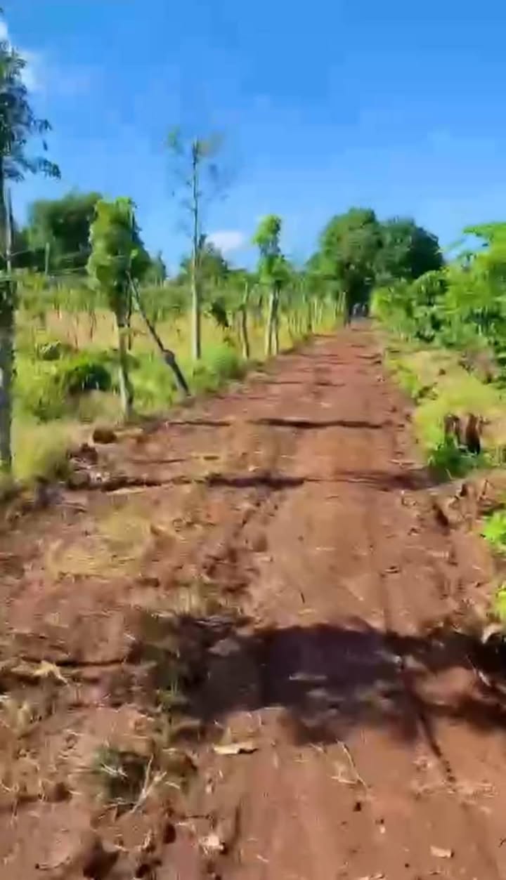 Đất nông nghiệp 650m² tại phường Buôn Hồ, Đắk Lắk - Giá 219 triệu, thương lượng!