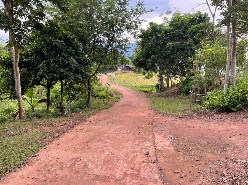 Đất nền Bao La Mai Châu 1048m² giá chỉ 2xx triệu - Cơ hội đầu tư tuyệt vời!