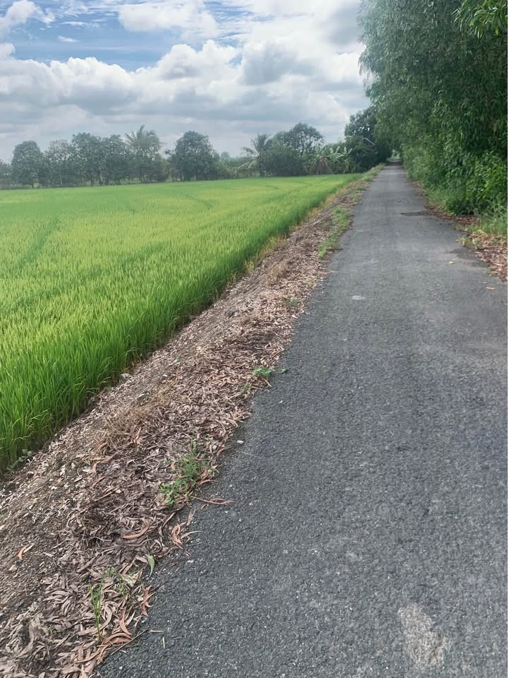 Đất mặt tiền kinh doanh 30.000m² tại Châu Đốc, An Giang - Giá tốt cho nhà đầu tư!