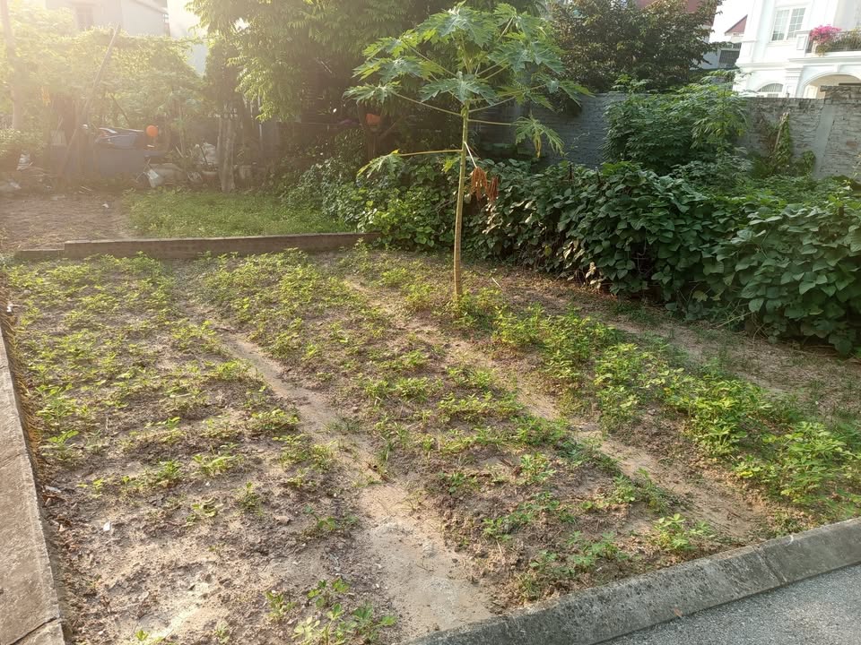 Đất nền Đào Xuyên, Đa Tốn 70m² giá 4.55 tỷ - Đường ô tô vào tận nơi!