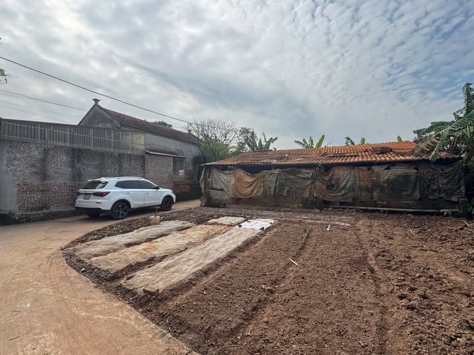 Đất nền lô góc Mai Động, Kim Động 96m² giá 1.1 tỷ - Cơ hội đầu tư hấp dẫn!