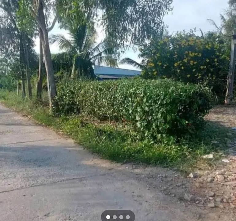 Đất thổ cư 300m² tại Phường An Xuyên, Cà Mau - Giá chỉ 295 triệu, ô tô vào tận nơi!