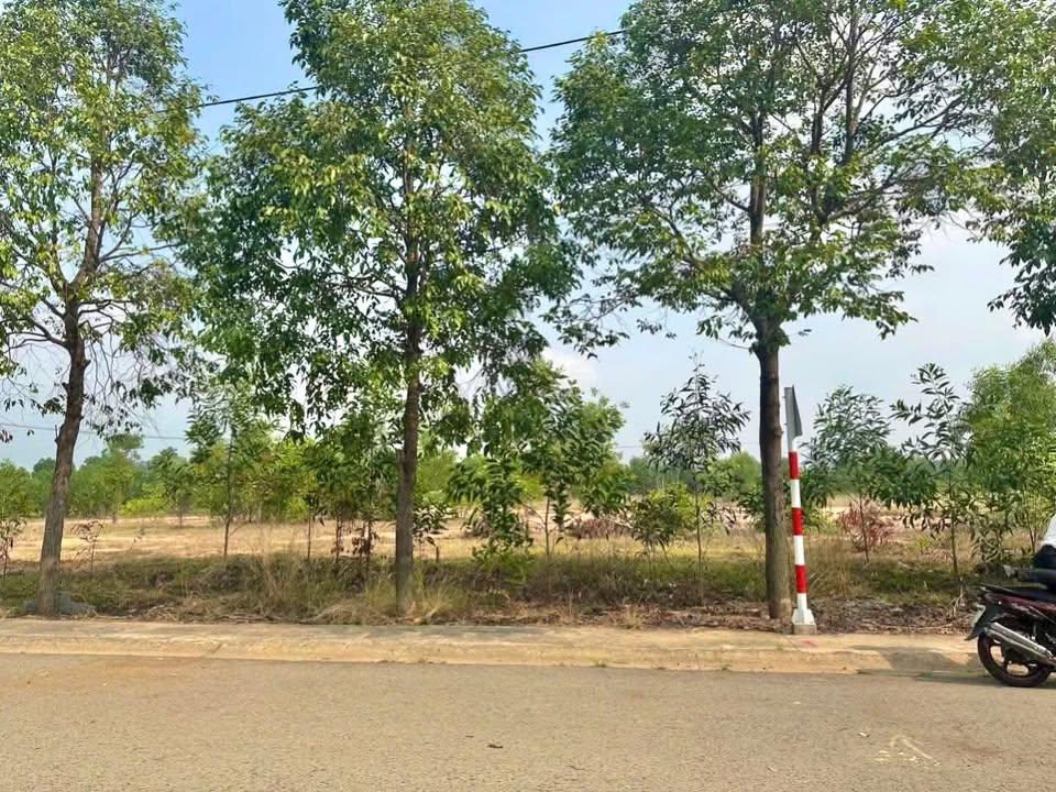 Đất thổ cư Bến Cát 150m² giá 1.4 tỷ - Mặt tiền đường D2 thuận lợi!