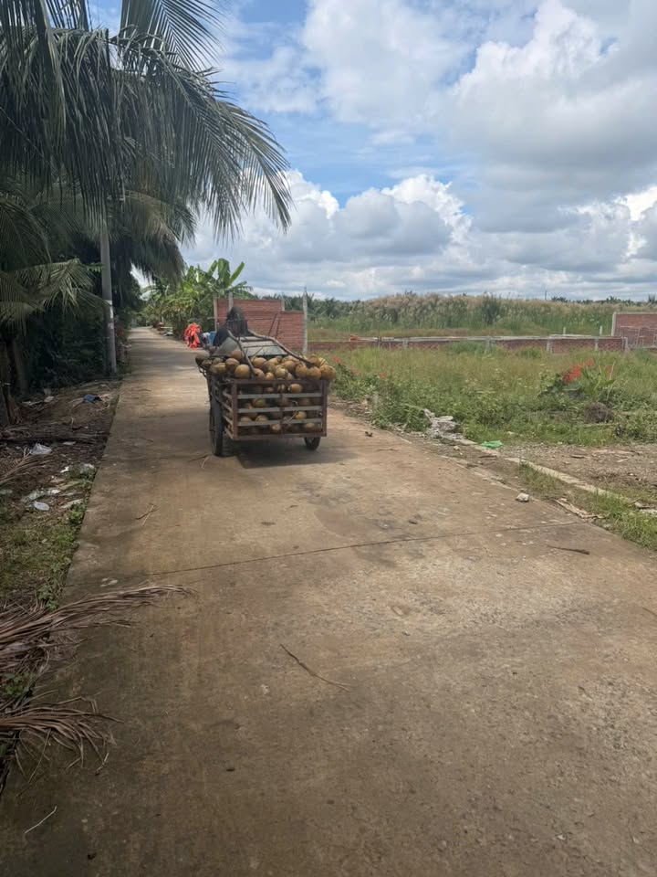 Đất nền Phước Thạnh, Mỹ Tho 100m² giá chỉ 400 triệu - Cơ hội đầu tư sinh lời!