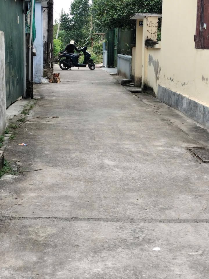 Đất thổ cư Thị Trấn Vũ Thư 46m² giá 1.1 tỷ - Ngõ ô tô vào tận nơi!