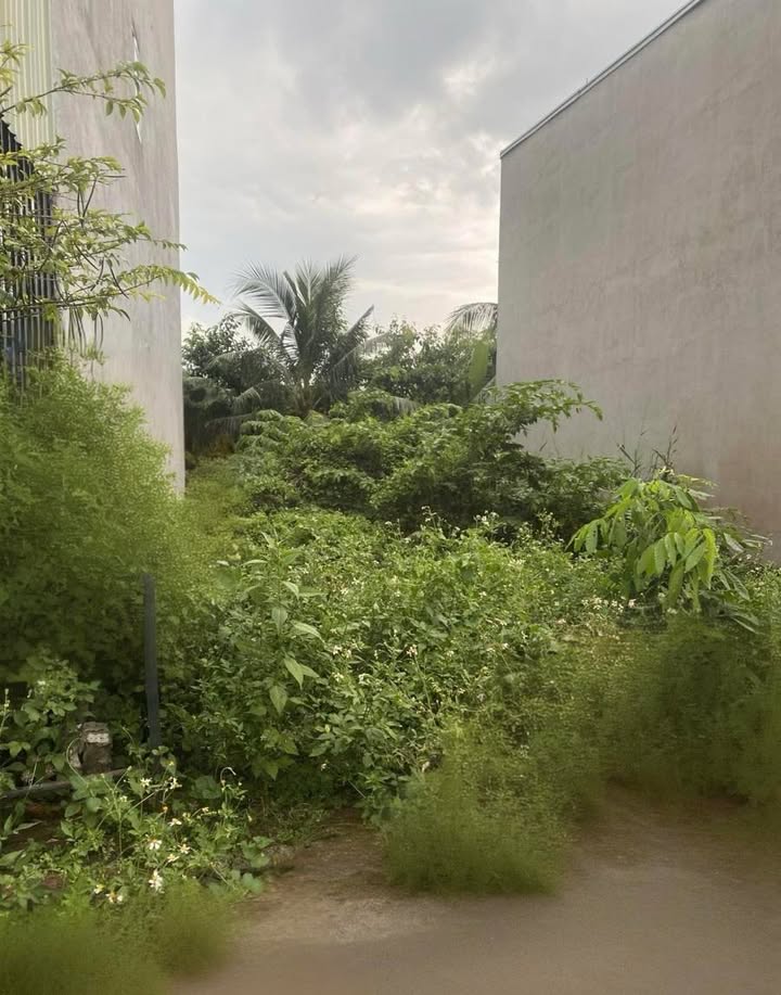 Đất Long Bình Thủ Đức 69m² giá 3 tỷ - Sổ đỏ chính chủ, vị trí đắc địa!