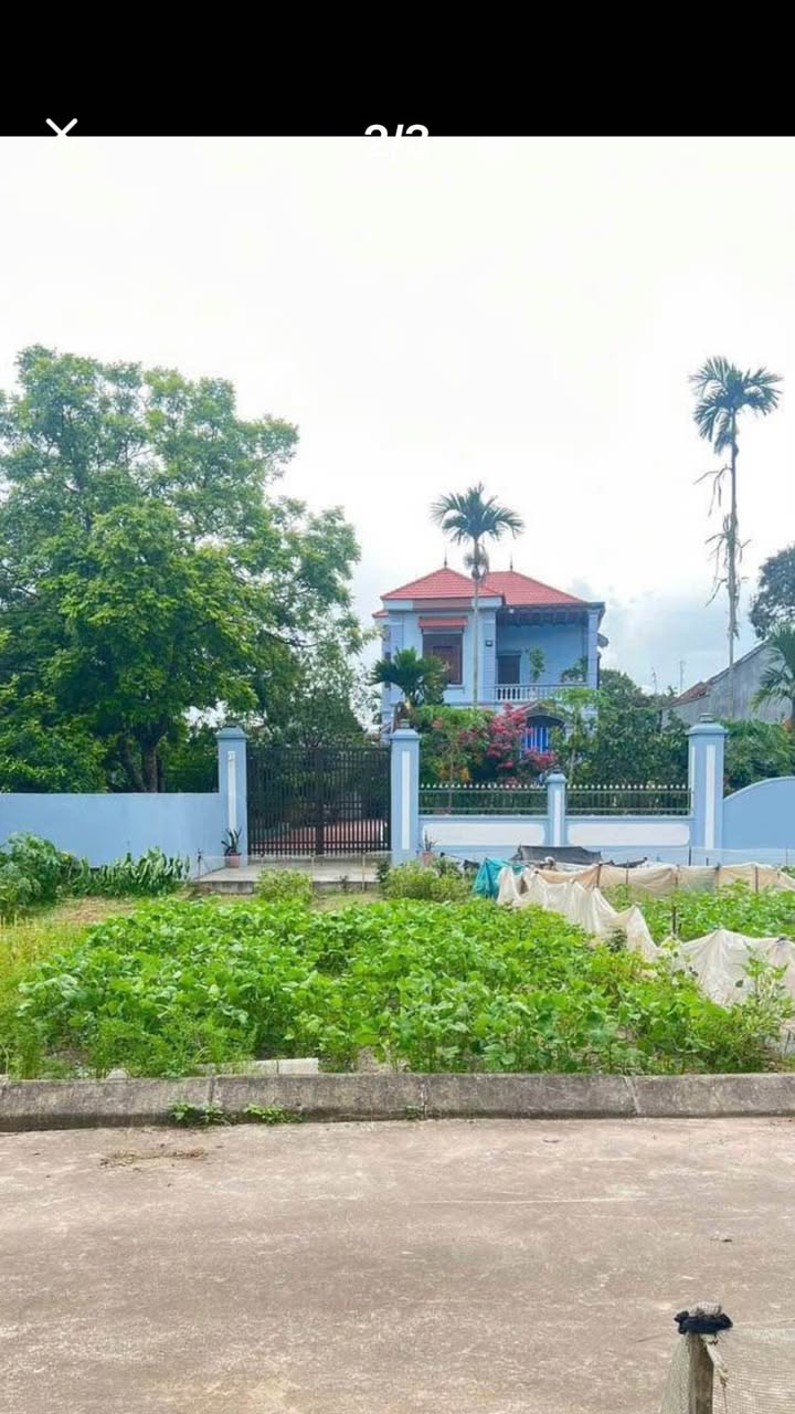 Đất nền tổ dân phố Quan Nha, Hòa Mạc 65m² giá chỉ 800 triệu - Chính chủ bán gấp!