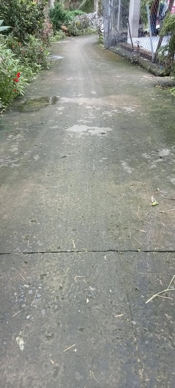 Đất vườn Bến Tre 85.000m² giá 2.975 tỷ - Chính chủ bán gấp!