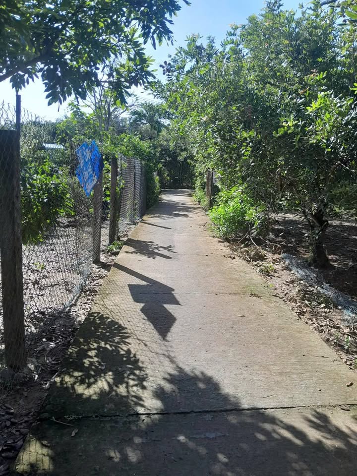 Đất nền xã Long Định, huyện Bình Đại, diện tích 400m² giá 4 tỷ - Đầu tư sinh lời ngay!