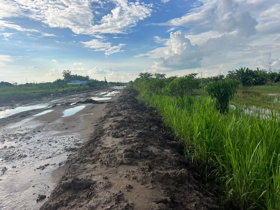 Đất nền Gò Công Đông 336m² giá chỉ 640 triệu - Cơ hội đầu tư hấp dẫn!