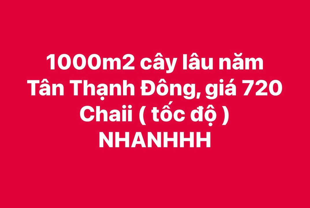 Đất cây lâu năm 1000m² Tân Thạnh Đông giá 720 triệu - Cơ hội đầu tư hấp dẫn!
