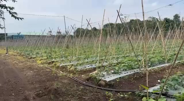 Đất nền Xuân Bắc 1 sào 850 triệu - Đường thông thoáng, điện nước đầy đủ!