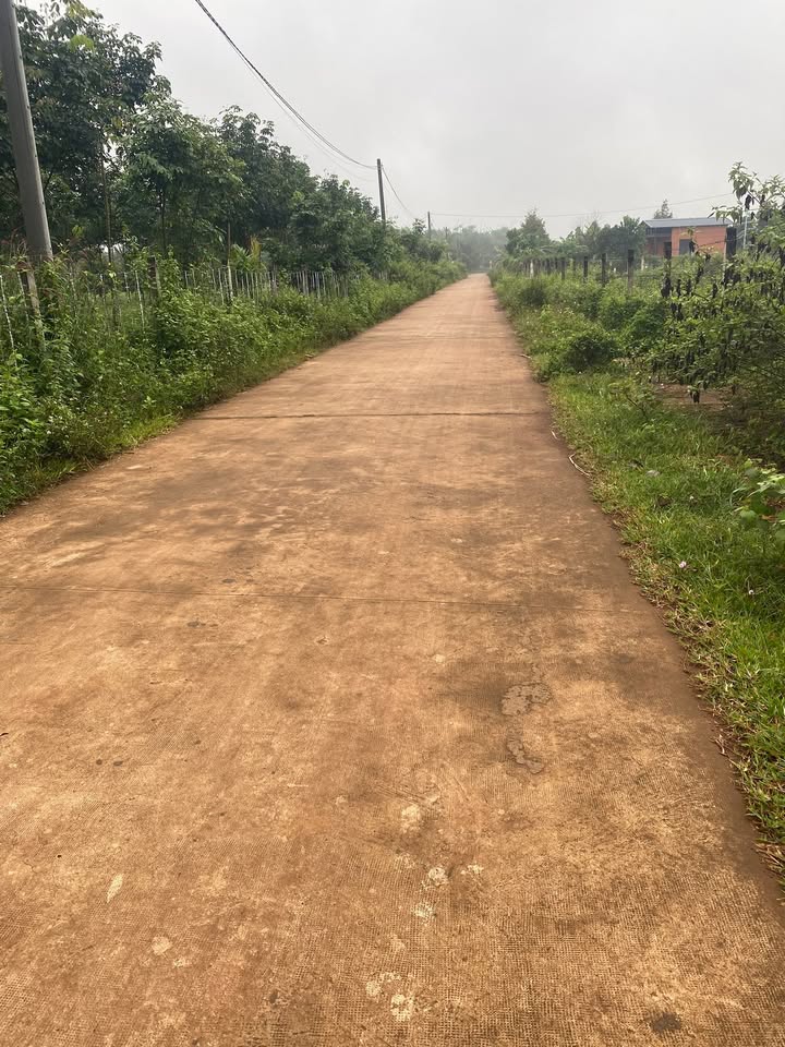 Đất nền Thống Nhất 2000m² giá 2 tỷ - Cơ hội đầu tư hấp dẫn!