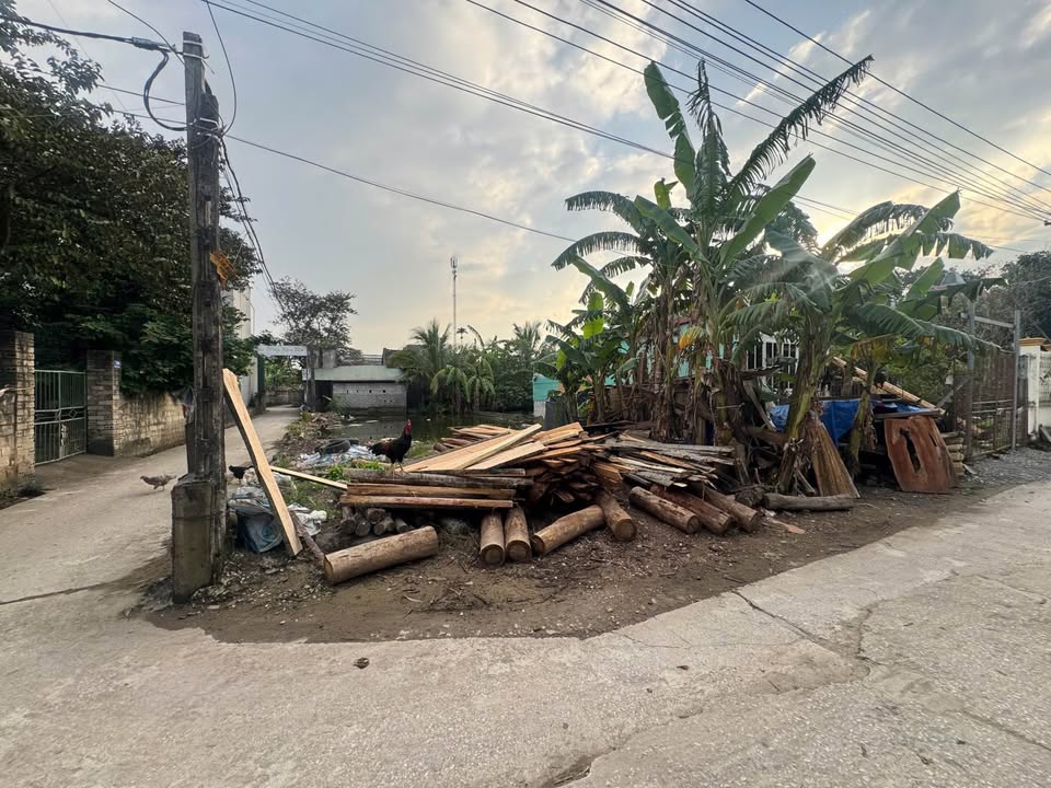 Đất thổ cư thôn Đô Trang, xã Dân Lực, huyện Triệu Sơn 128m² giá 700 triệu - Vị trí đẹp, tiện ích đầy đủ!