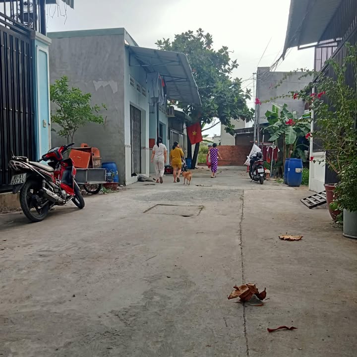 Đất nền Bình Hòa, Thuận An 60m² giá 1 tỷ - Cơ hội đầu tư tuyệt vời!